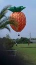 遙控熱氣球